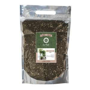 Ecopeat-houseplant